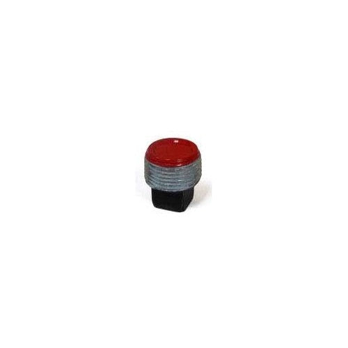 Rob Roy prplg55