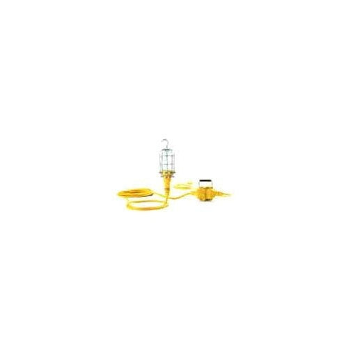Woodhead 1253 1301910086 Replacement 100W Glass Globe